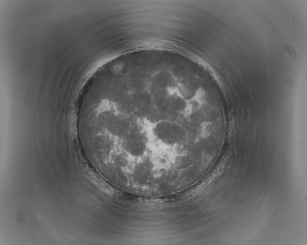 X0000111171019200907221024