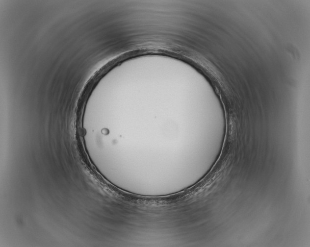 X0000111171020200907221024