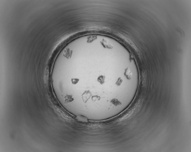 X0000111171021200907221024