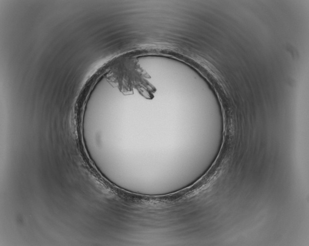 X0000111171022200907221024