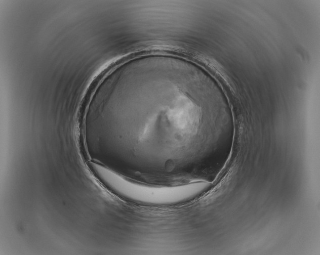 X0000111171024200907221024