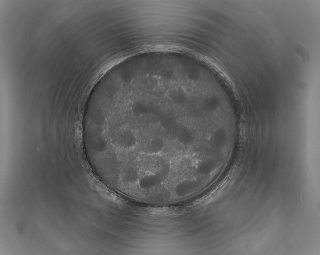 X0000111171025200907221024