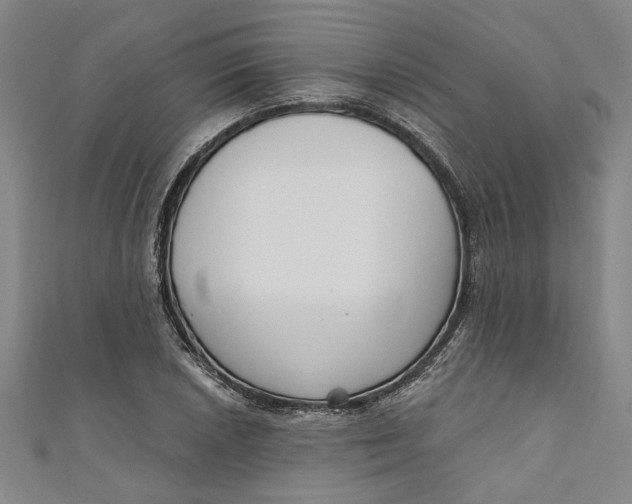 X0000111171026200907221024