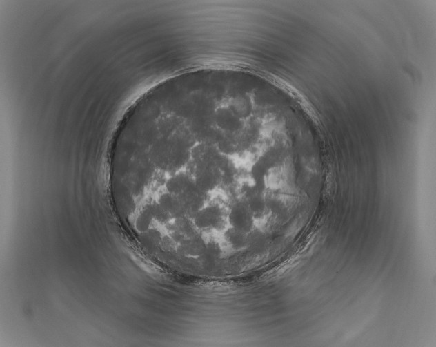 X0000111171027200907221024