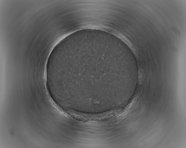 X0000111171028200907221024