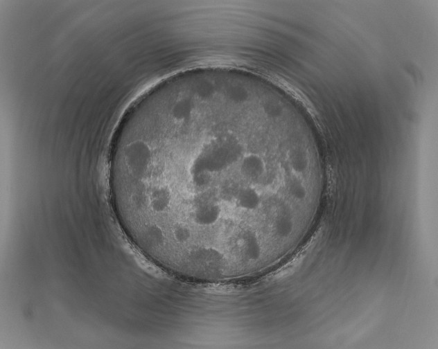 X0000111171029200907221024