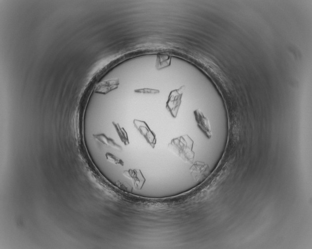 X0000111171030200907221024