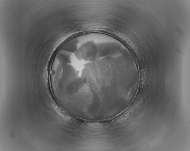 X0000111171031200907221024