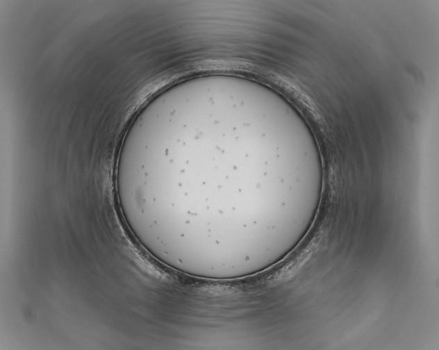 X0000111171033200907221024