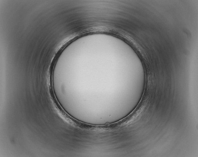 X0000111171034200907221024