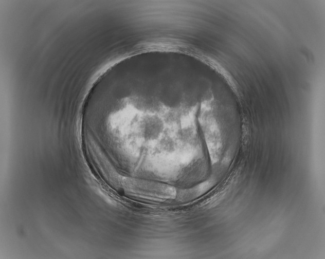 X0000111171035200907221024