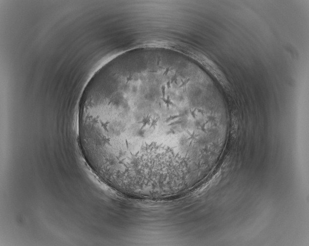 X0000111171036200907221024