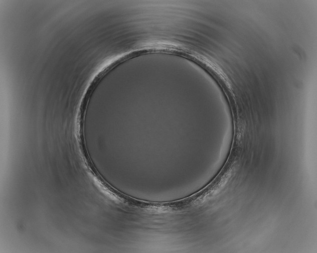 X0000111171037200907221024