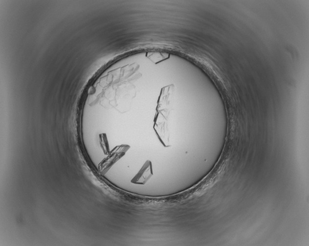 X0000111171038200907221024