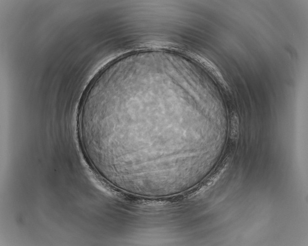 X0000111171039200907221024