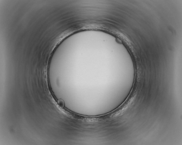 X0000111171041200907221024