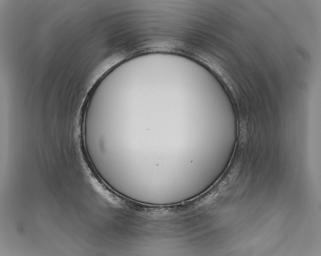 X0000111171042200907221024