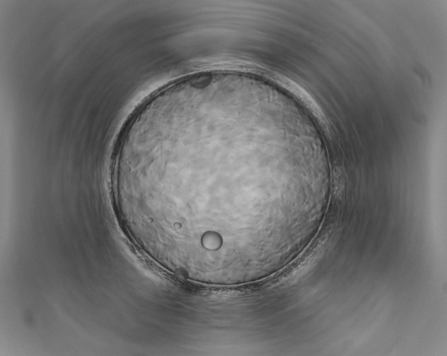 X0000111171043200907221024