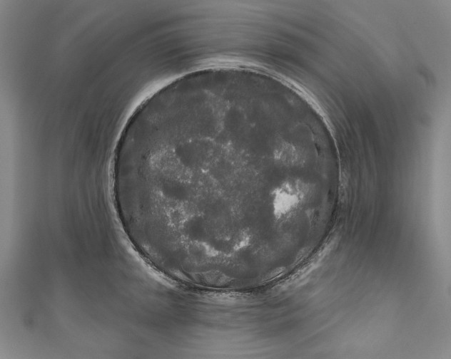 X0000111171045200907221024