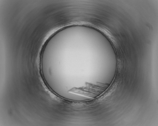 X0000111171046200907221024