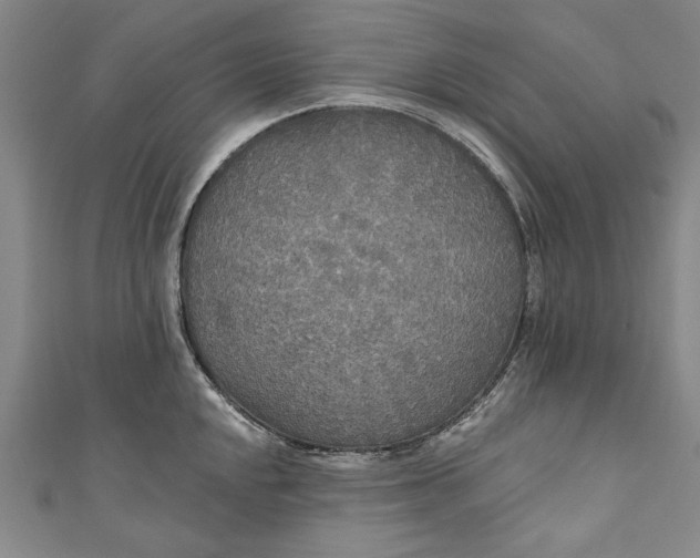 X0000111171048200907221024