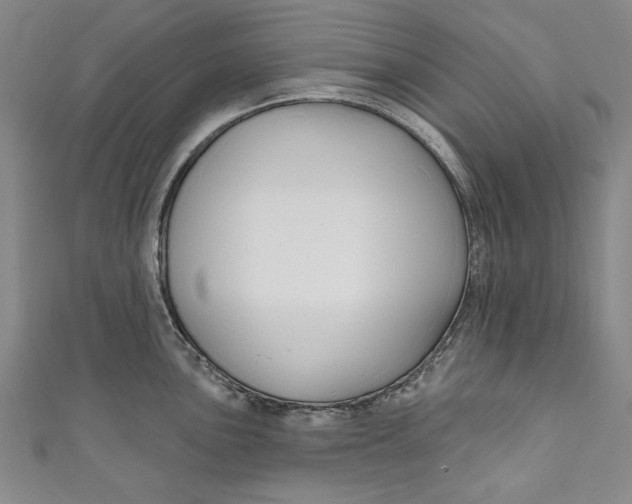 X0000111171051200907221024