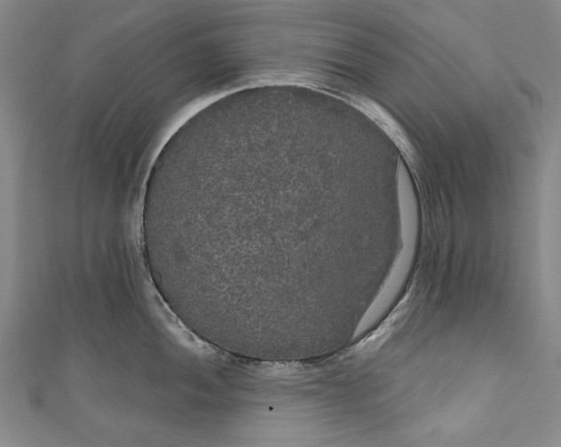 X0000111171052200907221024