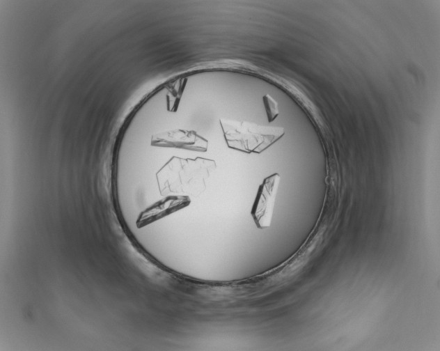 X0000111171054200907221024