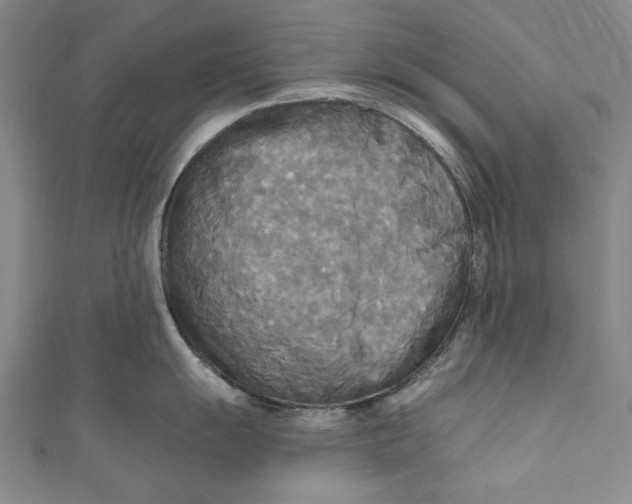 X0000111171055200907221024