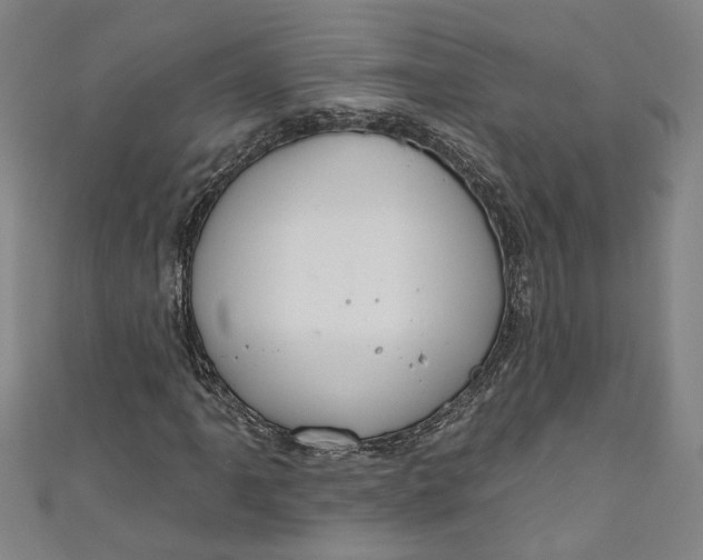 X0000111171061200907221023