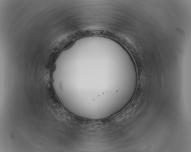 X0000111171062200907221023