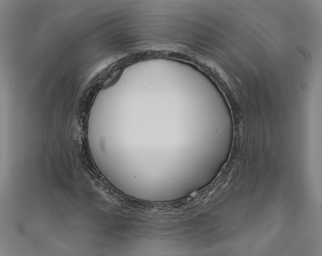 X0000111171064200907221023