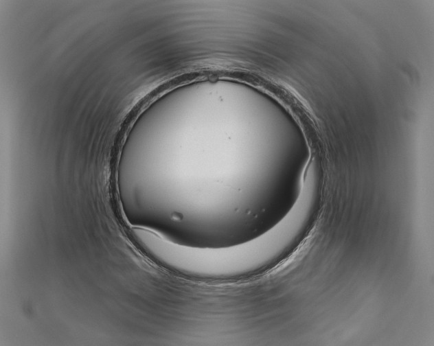 X0000111171065200907221023