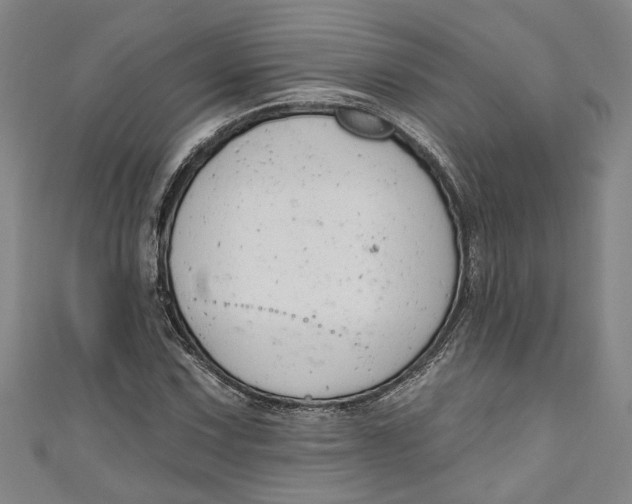 X0000111171067200907221023