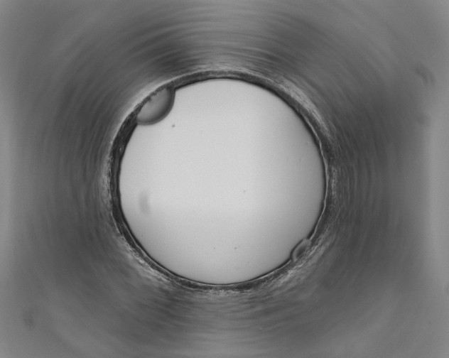 X0000111171068200907221023