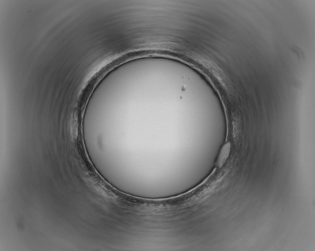 X0000111171069200907221023