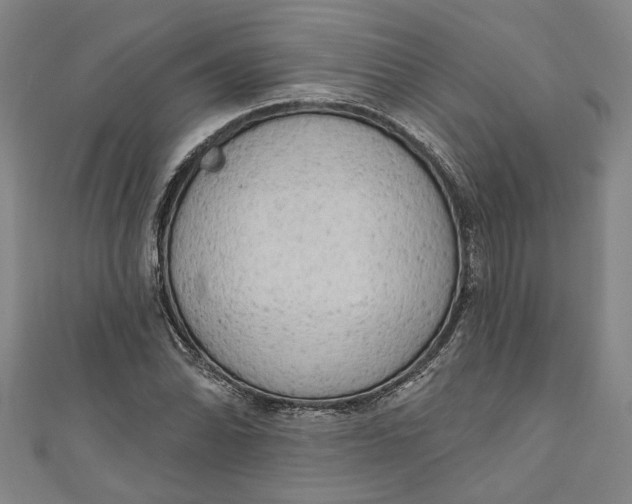 X0000111171070200907221023