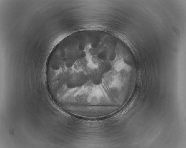 X0000111171071200907221023