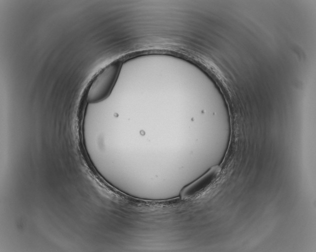 X0000111171072200907221023