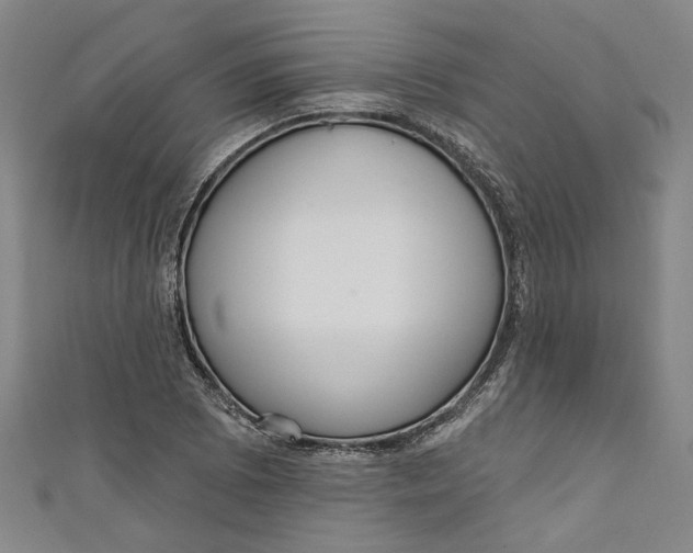 X0000111171073200907221023