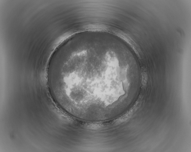 X0000111171074200907221023