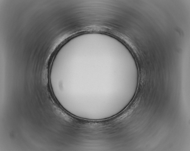 X0000111171075200907221023