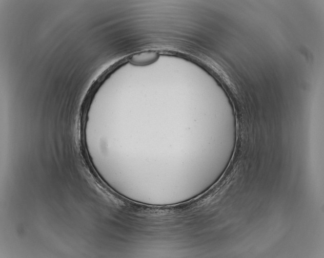 X0000111171076200907221023