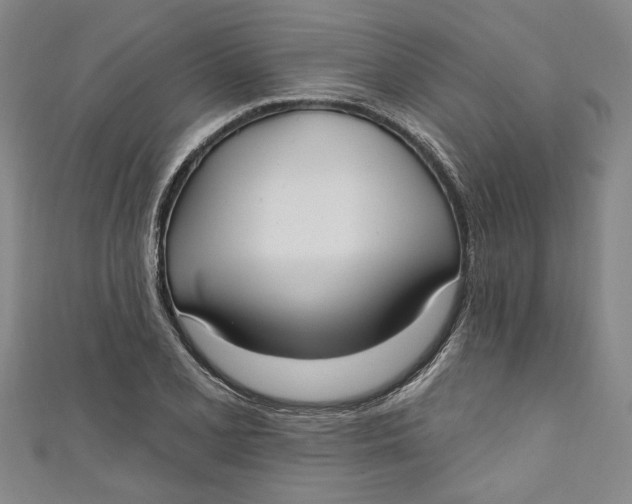 X0000111171077200907221023