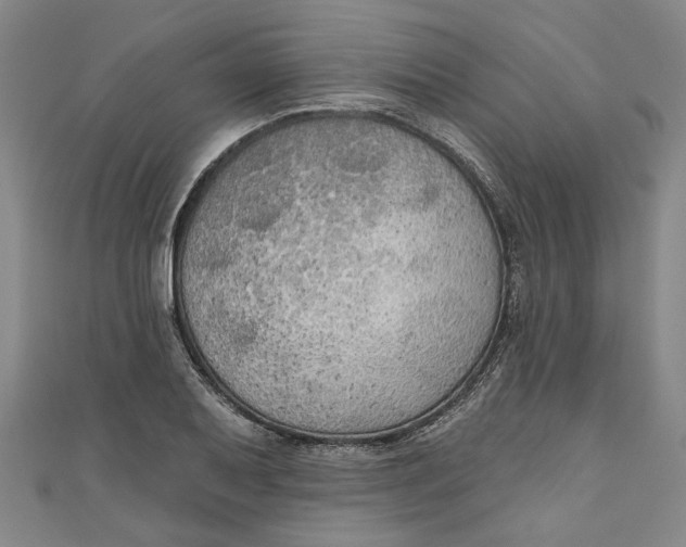 X0000111171079200907221023