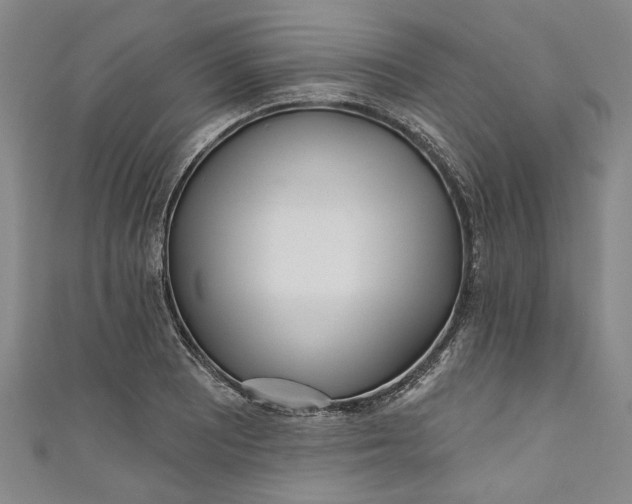 X0000111171081200907221023