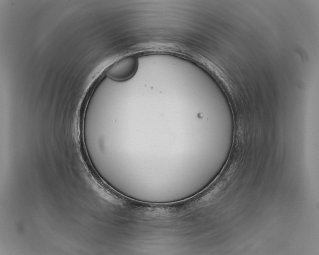 X0000111171082200907221023