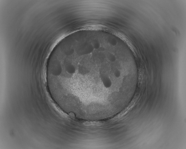 X0000111171083200907221023