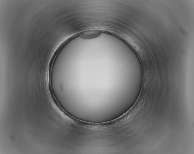 X0000111171084200907221023