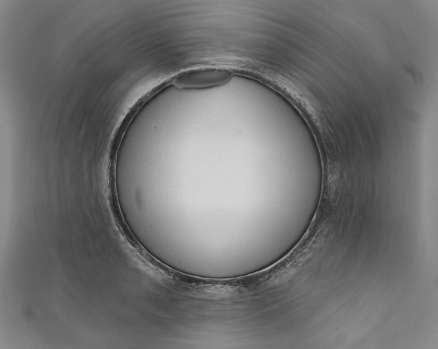 X0000111171085200907221023